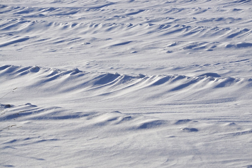 Снежные волны на Суздальских полях 05