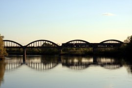 Дубовая роща у арочного железнодорожного моста во Владимире