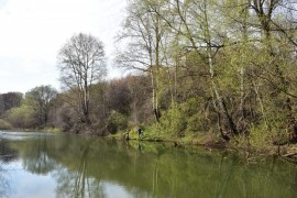 Река Лыбедь в апреле и мае.