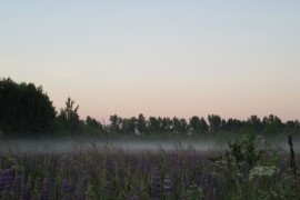 Раннее июльское утро во Владимирской области
