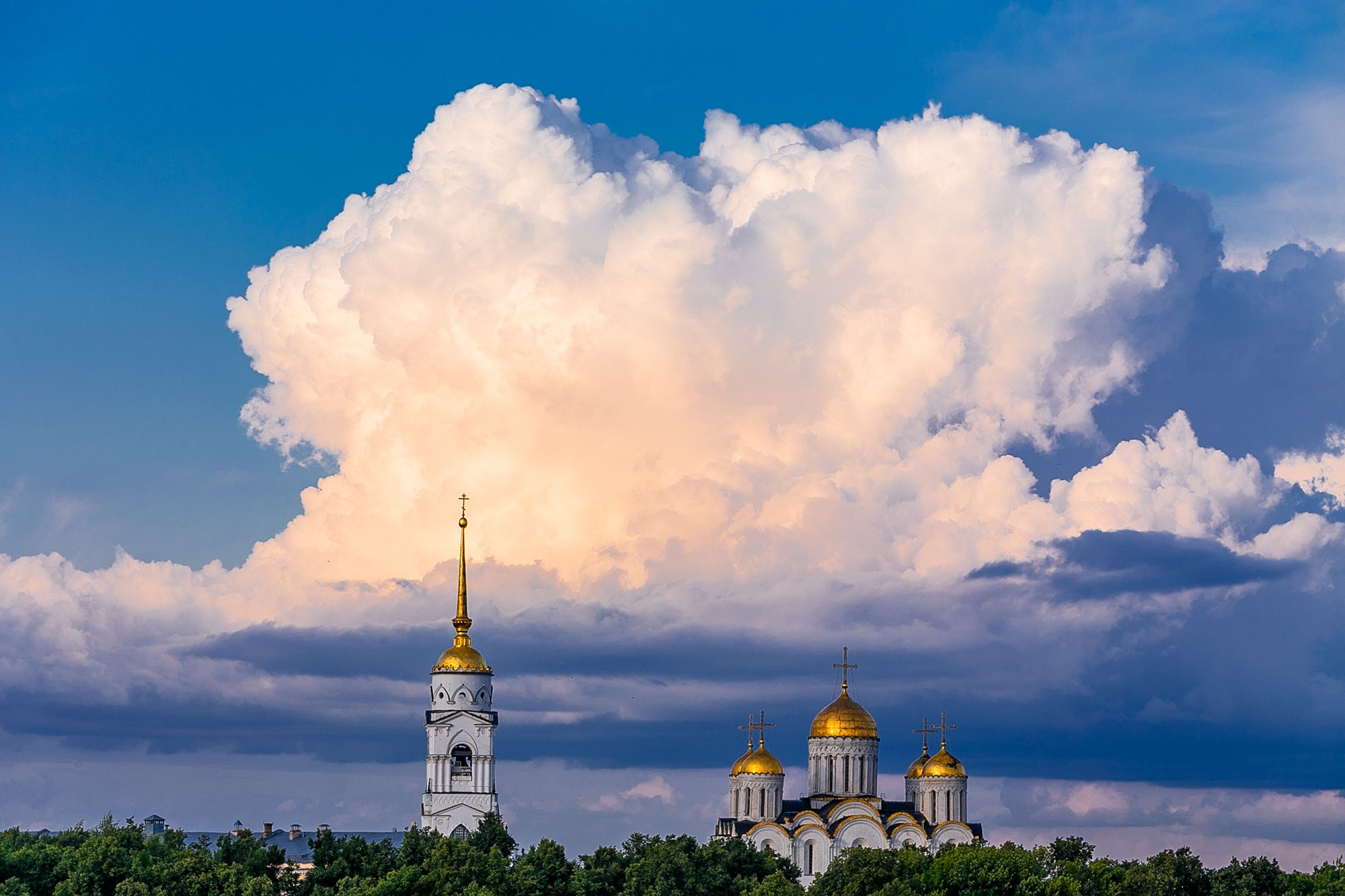 Птица в небе над храмом