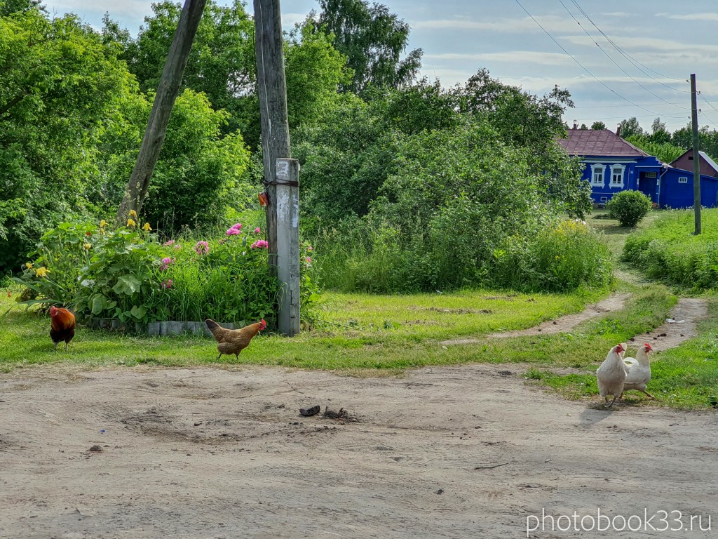 усад это какая область. 67 %D0%9A%D1%83%D1%80%D1%8B %D0%B2 %D0%B4%D0%B5%D1%80%D0%B5%D0%B2%D0%BD%D0%B5 %D0%A3%D1%81%D0%B0%D0%B4 %D0%9C%D0%B5%D0%BB%D0%B5%D0%BD%D0%BA%D0%BE%D0%B2%D1%81%D0%BA%D0%B8%D0%B9 %D1%80%D0%B0%D0%B9%D0%BE%D0%BD. усад это какая область фото. усад это какая область-67 %D0%9A%D1%83%D1%80%D1%8B %D0%B2 %D0%B4%D0%B5%D1%80%D0%B5%D0%B2%D0%BD%D0%B5 %D0%A3%D1%81%D0%B0%D0%B4 %D0%9C%D0%B5%D0%BB%D0%B5%D0%BD%D0%BA%D0%BE%D0%B2%D1%81%D0%BA%D0%B8%D0%B9 %D1%80%D0%B0%D0%B9%D0%BE%D0%BD. картинка усад это какая область. картинка 67 %D0%9A%D1%83%D1%80%D1%8B %D0%B2 %D0%B4%D0%B5%D1%80%D0%B5%D0%B2%D0%BD%D0%B5 %D0%A3%D1%81%D0%B0%D0%B4 %D0%9C%D0%B5%D0%BB%D0%B5%D0%BD%D0%BA%D0%BE%D0%B2%D1%81%D0%BA%D0%B8%D0%B9 %D1%80%D0%B0%D0%B9%D0%BE%D0%BD