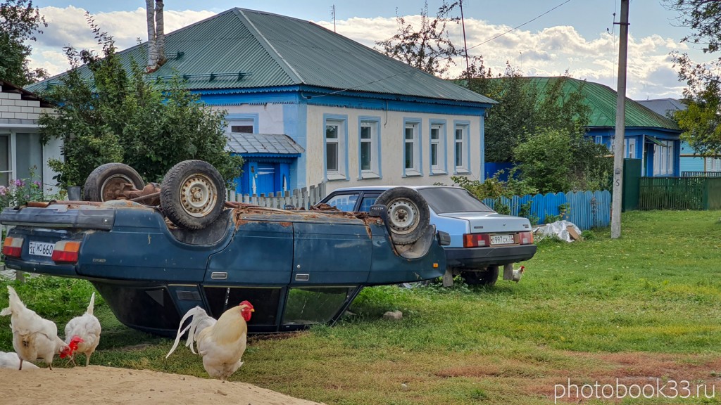33 Разведение куриц в с. Лазарево, Муромский район