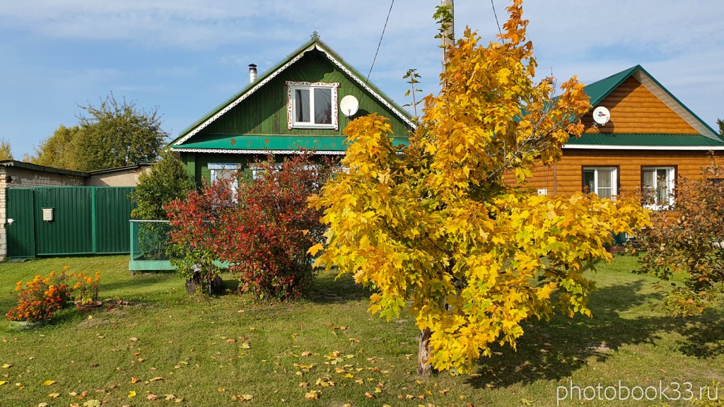 30 Деревянные дома в д. Грибково