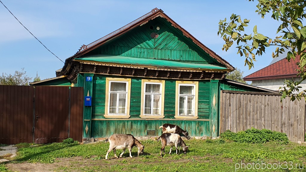 33 Козы в деревне Орлово, Муромский район