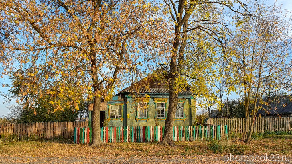 55 Деревянный дом в селе Левино, Меленковский район