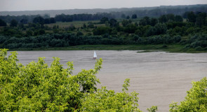 Муром на День семьи, любви и верности 2015 от Наталии Костиной