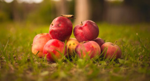 Искушение от Юлии Постниковой