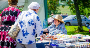 День огурца в Суздале 2015. Фотоотчет
