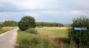 Деревенька Медынцево на юге Ковровского района