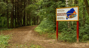 Загородный лесопарк «Комзяки» (Вязниковский район)