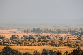 Заклязьминские просторы