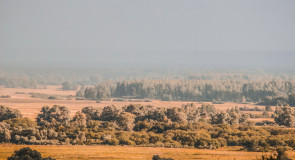 Заклязьминские просторы