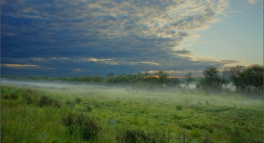 Ранним утром на клязьменской пойме (Суздальский район)