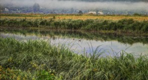 Легенда о возникновении города Вязники