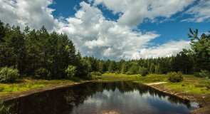 Меленковские красоты от Дмитрия Сдобина