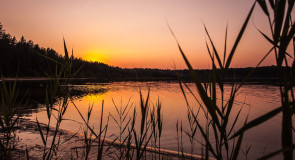 Меленковский пейзаж