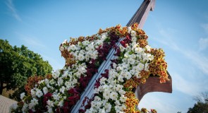 ﻿На театральной площади установили цветочную композицию