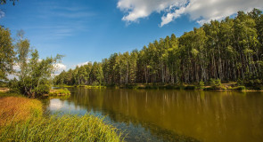 Озеро около д.Кононово Меленковского района
