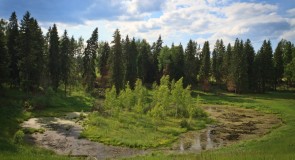 Поганая лохань в Александровском районе