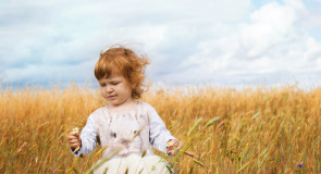 Гулять по Владимирской земле бесценно.