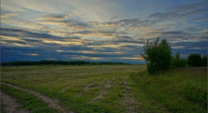 У небольшого поля на закате (Суздальский район).