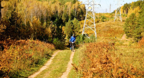 Черный дол (Ковровский район)