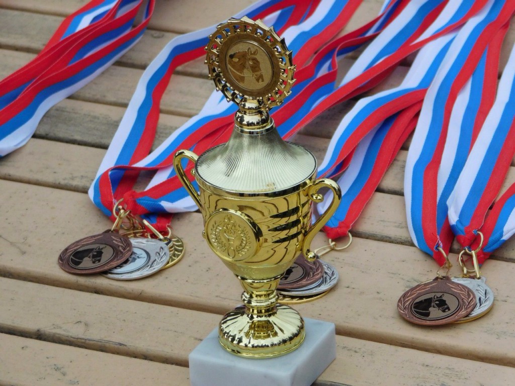 В деревне Старово прошли соревнования по конному спорту 10