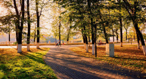 В осеннем парке городском…