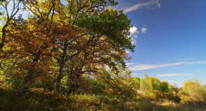Выходные во владимирской деревне