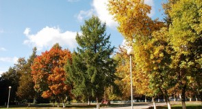 Золотая осень в Вязниках