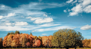 Золотая осень во Владимирской области