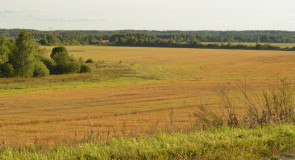 Как наступала осень во Владимирской области