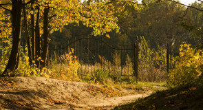 Краски осени в парке Дружба. Прогулка 18.09.15.