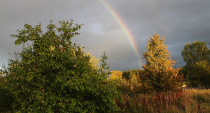 Красное Эхо. Гусь-Хрустальный район