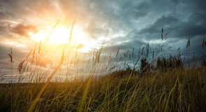 Меленки. Закат. Гроза.