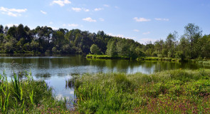 Национальный парк «Мещёра» Владимирской области