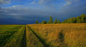 На вершине холма, в лучах заходящего Солнца (Суздальский район)