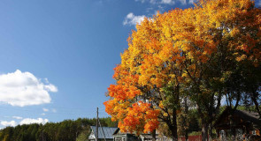 Осенняя деревня. Ковровский район, деревня Медынцево.