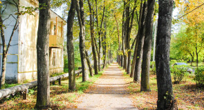 Прогулка по осеннему Вербовскому