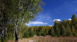 Осень по народному календарю