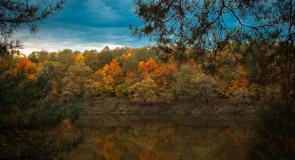Очарование осени III от Бориса Пучкова