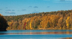 Очарование осени. Ч. 4 от Бориса Пучкова