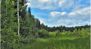 Природа Ковровского района