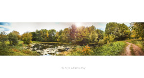 Пруд в районе ул. Добросельской г. Владимира (Сентябрь 2015)