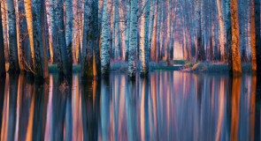 Рассвет в Боголюбово