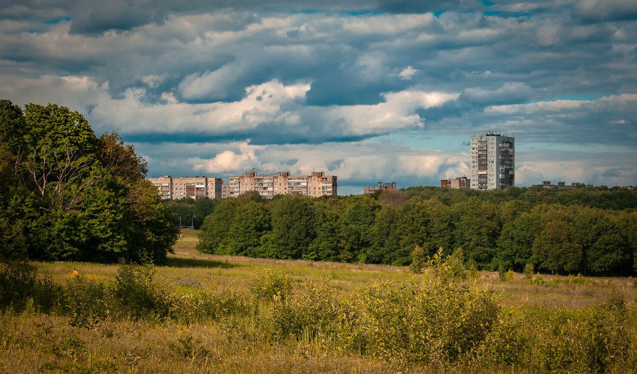 Зеленый пояс городов. Парк Дружба во Владимире. Парк Дружба во Владимире лес. Парк Дружба во Владимире вид сверху.