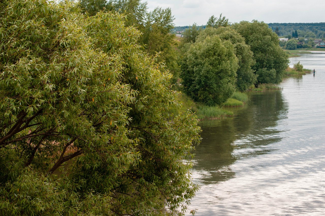 Река содышка владимир улица горького фото