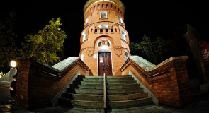 Владимирская Башни грифонов