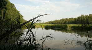 Владимирская область, оз. Верхнее